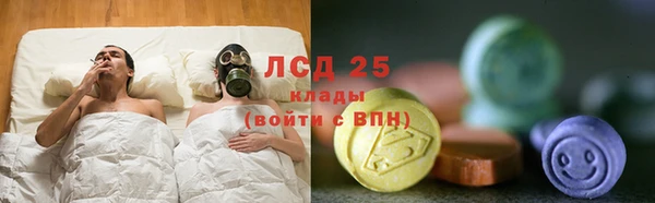 прущие грибы Абинск