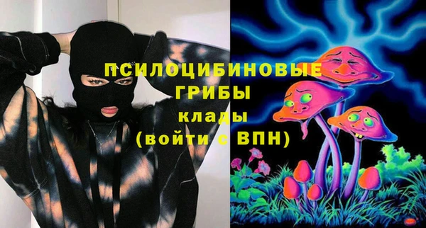 прущие грибы Абинск