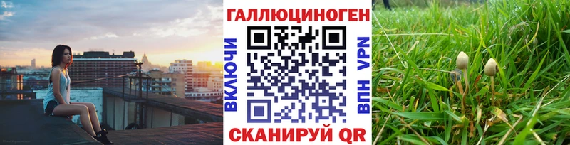 Галлюциногенные грибы прущие грибы Бежецк