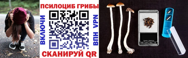 Псилоцибиновые грибы прущие грибы Бежецк